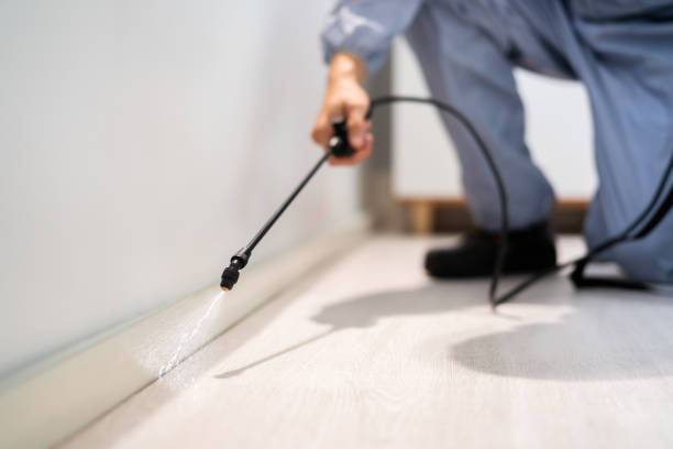 Licensed Pest Control service in North Conway, NH - Show Me Pest Control